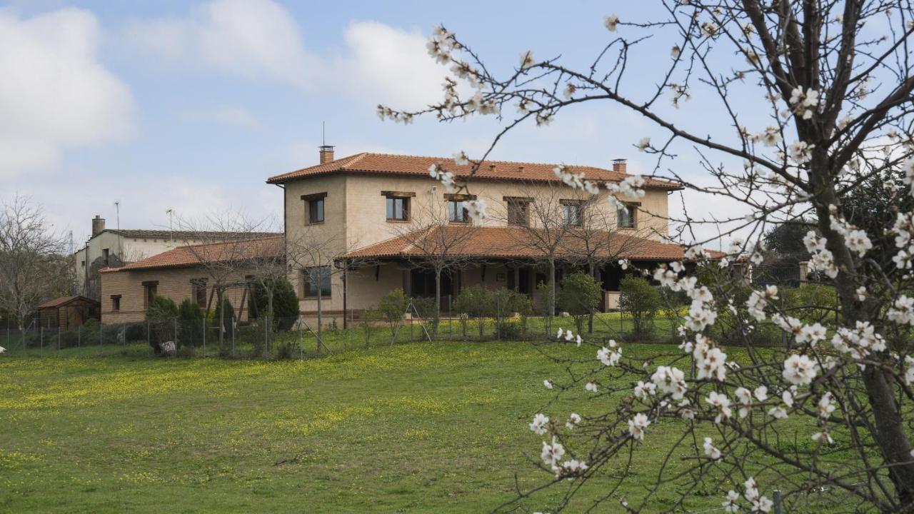 Casa Rural Pilon Del Fraile Oropesa Eksteriør billede